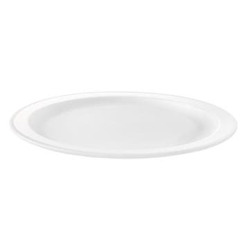 Witte Borden Herbruikbaar 27cm 6st, Verzenden