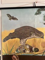 Jung-Koch-Quentell - Lehrmittelverlag Hagemann, Düsseldorf -