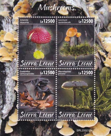 Sierra Leone - 2020 - Paddestoelen - Postfris, Timbres & Monnaies, Verzenden