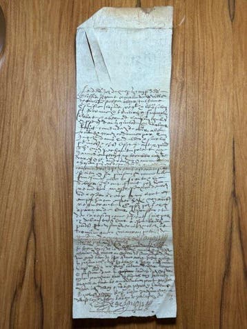The Parlement de Toulouse as Supreme Court - Official vellum, Nieuw