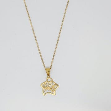 Ketting met hanger - 18 karaat Geel goud