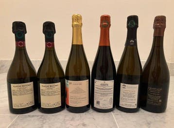Gaspard Brochet, Tome II ‘Le Renard’ Blanc de Noirs Brut
