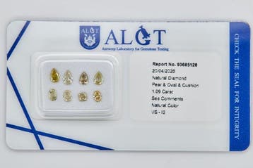 Zonder minimumprijs - 8 pcs Diamant (Natuurlijk) - 1.09 ct -