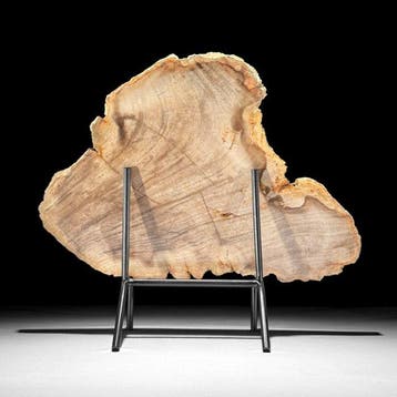 Superbe tranche de bois pétrifié sur un socle sur mesure -