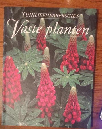 VASTE PLANTEN 9783829014045 Yoyo, Verzenden, Zo goed als nieuw, Yoyo