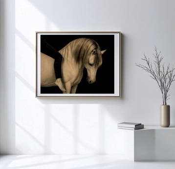 Jorge Omeñaca - Horse thinking in freedom
