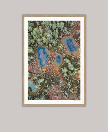Bernhard Lang - The_Bog_001