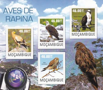 Mozambique - 2014 - Roofvogels - Postfris, Verzenden, Postfris, Dier of Natuur