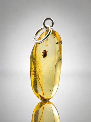 Echt Baltisch amber hanger – Oude bladkeverinclusie –