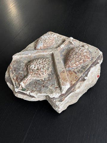 Decoratief ornament - Frankrijk - Fragment van een blazoen
