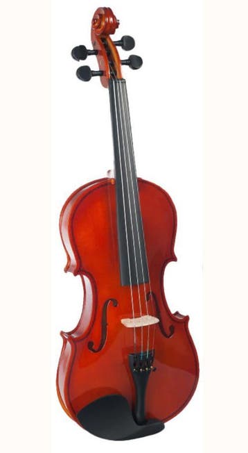 Viool verrassend goed, Gratis 28 vioollessen., Muziek en Instrumenten, Nieuw, 4/4-viool, Viool, Met koffer
