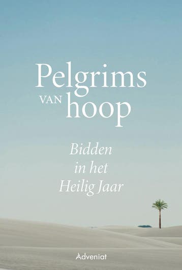 Pelgrims van hoop 9789493395022, Boeken, Verzenden, Gelezen
