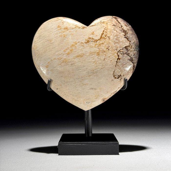 Prachtig paar versteende palmwortel in hartvorm en, Antiek en Kunst, Kunst | Designobjecten