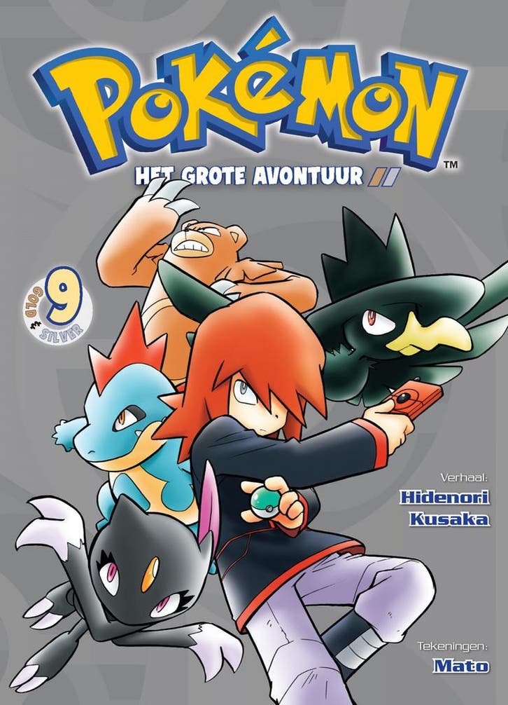 Pokémon: Het grote avontuur / Pokémon - Het grote avontuur /, Boeken, Stripverhalen, Gelezen, Verzenden