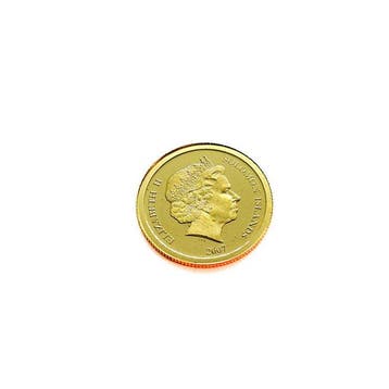 Salomonseilanden. 10 Dollars 2007 Taj Mahal, 1g (.999)