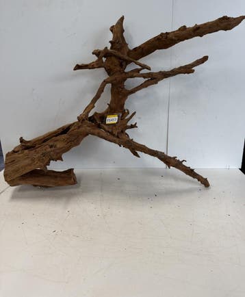 Fine Sinking Wood Selected  FS453  100X71X29cm, Ophalen of Verzenden, Plant(en), Steen of Hout