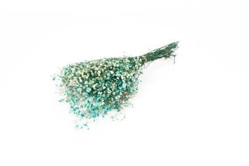 Geprepareerd gepreserveerd gipskruid aquamarijn turquoise 60, Nieuw