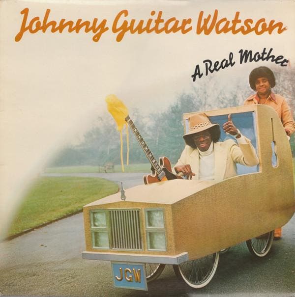 Johnny Guitar Watson - A Real Mother, Cd's en Dvd's, Vinyl | Pop, Gebruikt, Verzenden