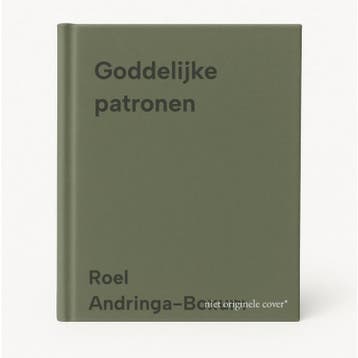 Goddelijke patronen 9789000395071 Roel Andringa-Boxum, Verzenden, Gelezen, Roel Andringa-Boxum