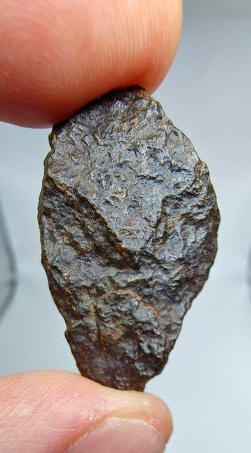 Météorite lodranite. NWA 17904. La météorite est une brèche, Collections