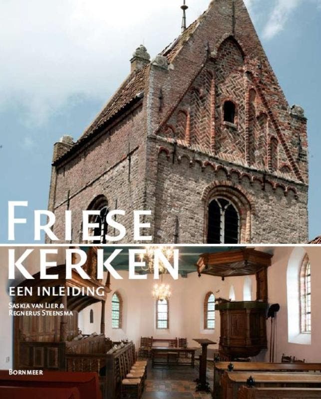 Friese kerken 9789056151980 S. van Lier, Boeken, Kunst en Cultuur | Architectuur, Zo goed als nieuw, Verzenden