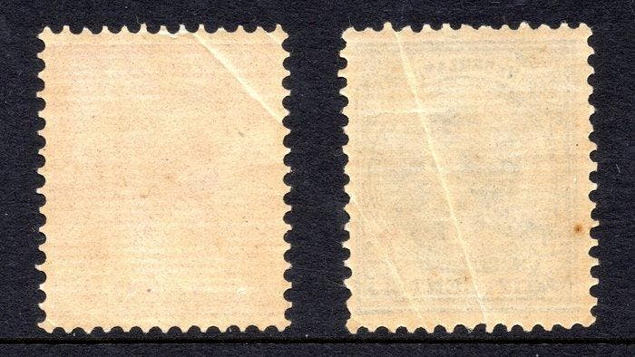 Nederland 1891 - Koningin Wilhelmina type hangend haar -, Timbres & Monnaies, Timbres | Pays-Bas