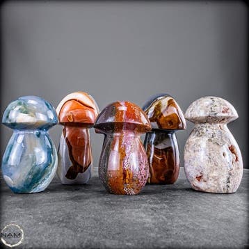 Set exclusif de champignons en jaspe polychrome et jaspe