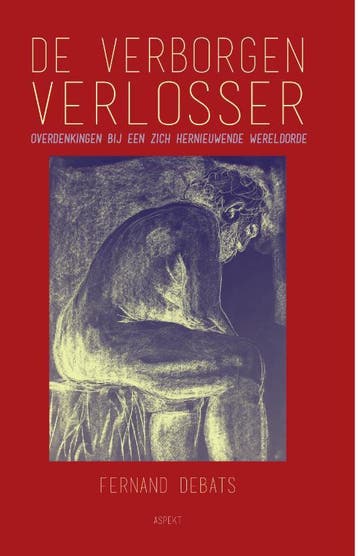 De Verborgen Verlosser | Fernand Debats | Nieuw, Verzenden, Fernand Debats