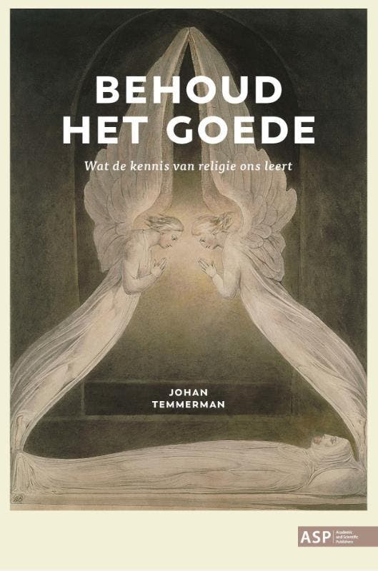 Behoud het goede 9789461174154 Johan Temmerman, Livres, Philosophie, Envoi
