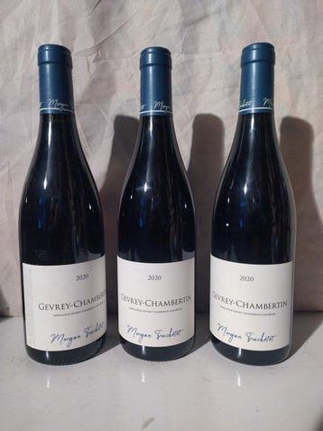 2020 Morgan Truchetet - Gevrey Chambertin - 3 Flessen (0.75, Verzamelen, Nieuw