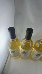 2022 Stags Leap Aveta Sauvignon Blanc - Napa Valley - 6