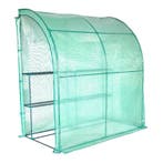 Lendo Online Serre Murale de Jardin 200x100x214 cm PE Verte