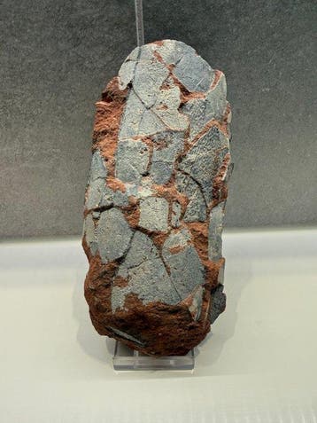 Oviraptor - Gefossiliseerd ei - Oviraptor sp - 17 cm - 7.5
