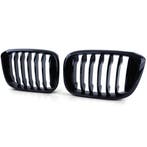 Glans Zwarte Nieren (Grillen) BMW X3 X4 G01 G02 B0415