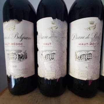 1992 Diane de Belgrave - Haut-Médoc - 6 Bouteilles (0,75 L)