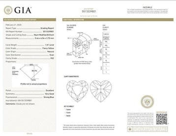 1 pcs Diamant (Natuurlijk gekleurd) - 1.01 ct - Hart - Fancy, Nieuw