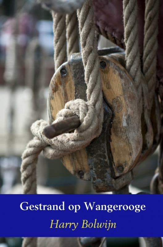 Aangespoeld op Wangerooge / Opa, weet je 9789463188265, Boeken, Historische romans, Zo goed als nieuw, Verzenden
