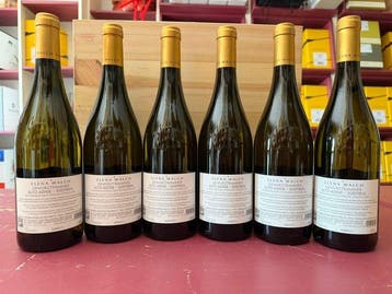 2025 Elena Walch Gewuztraminer - Trentino Alto Adige - 6, Nieuw