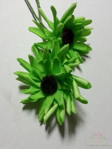 Aster Gerbera Neon Groen Foambloem Bundel 5 stuks, Nieuw