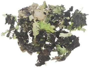 Korstmos Musgo Groenwashed 250 gram, Nieuw