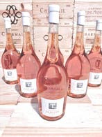 2023 Domaine de Tamary - Provence - 6 Magnums (1.5L)