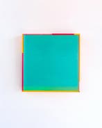 Konstantin Zmogk Danilov (1979) - Adaptation state