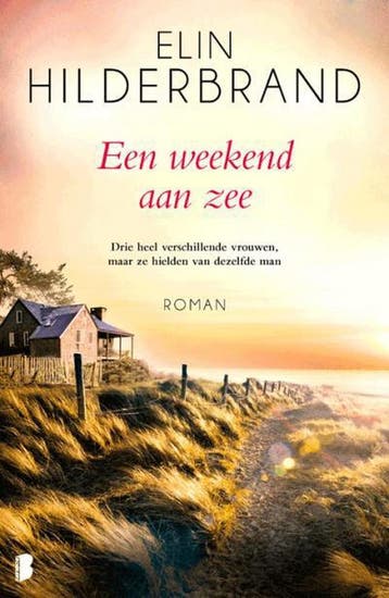 Een weekend aan zee 9789022591048 Elin Hilderbrand, Verzenden, Gelezen, Elin Hilderbrand