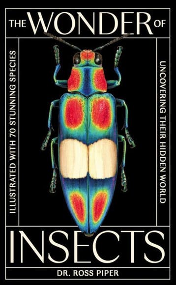 The Wonder Of Insects: Uncovering Their Hidden World | Nieuw, Verzenden, Nieuw, Ross Piper