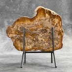 Magnifique tranche de bois pétrifié sur un socle