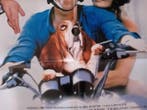 Mr BEAN - MAYBE BABY original poster puppy dog vespa moto, Nieuw