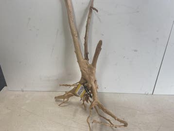 Boutique Stump Selected BS259- 57x40x12cm (Natuurlijk hout), Ophalen of Verzenden, Plant(en), Steen of Hout