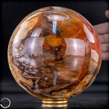 Natuurlijk versteend hout als bol – Intense houtnering in