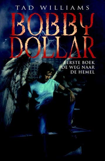De weg naar de hemel / Bobby Dollar / 1 9789024547043, Verzenden, Gelezen, Tad Williams