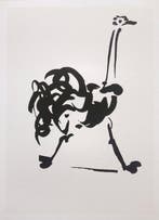 Pablo Picasso (1881-1973) (after) - L´Autruche - (50x60cm)
